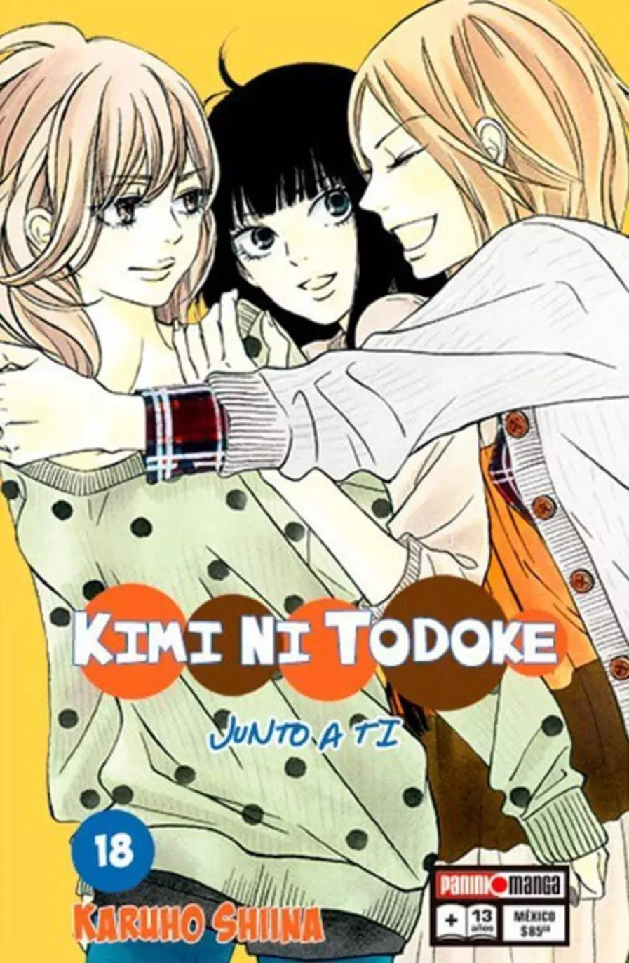 Manga Kimi ni Todoke vol. 18