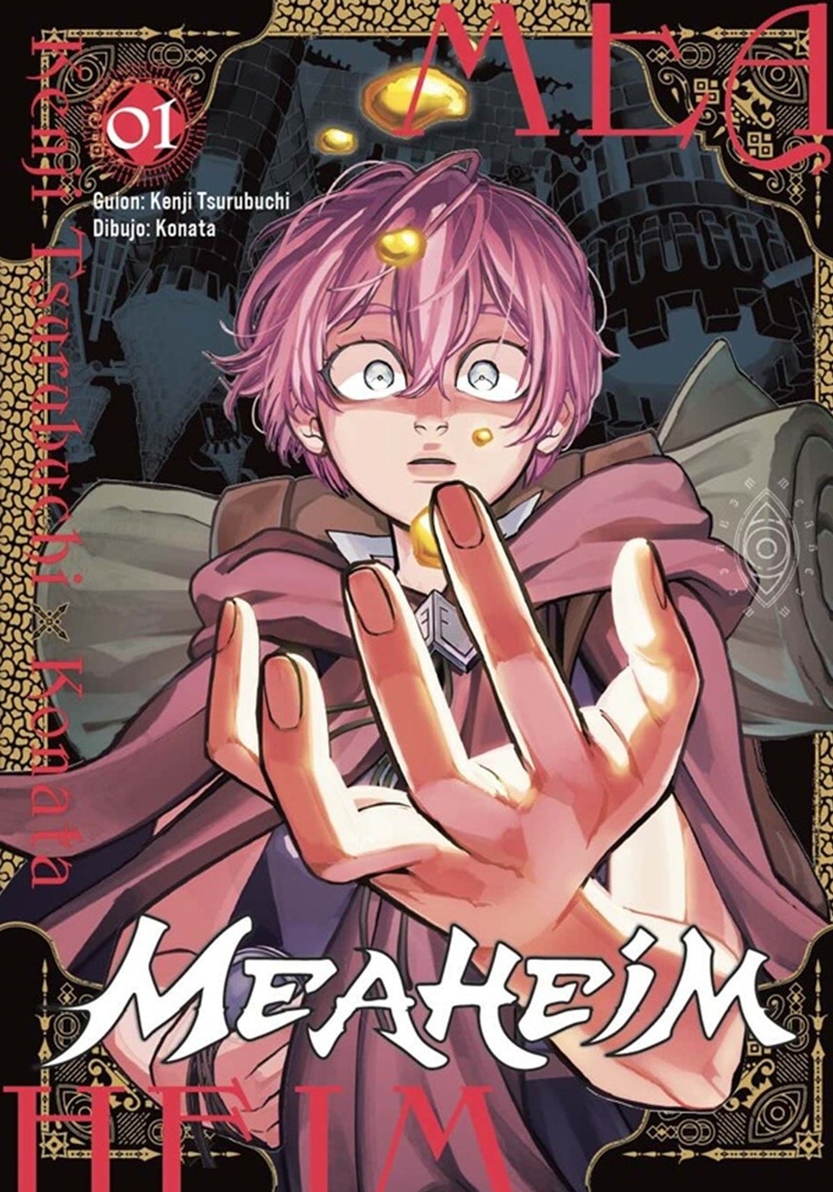 manga mea heim vol 1