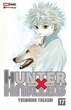 Manga Hunter X Hunter vol. 17
