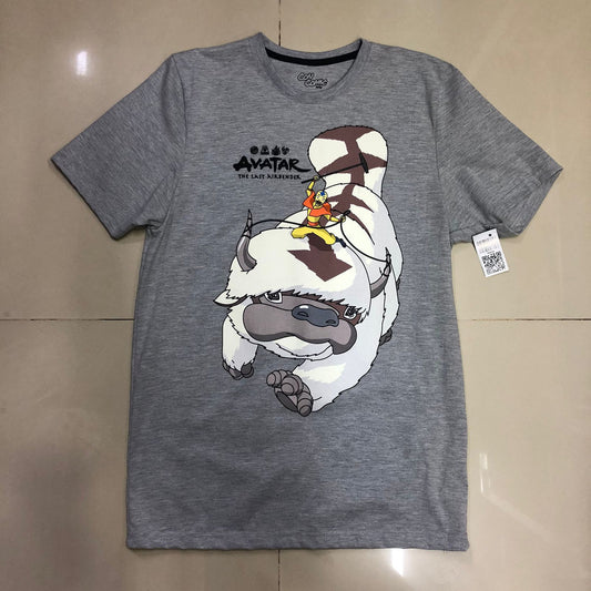 Playera Aang Avatar: la leyenda de Aang