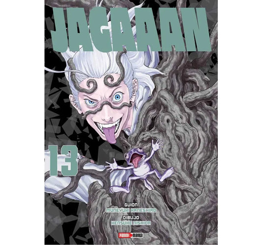 Manga JAGAAAN vol. 13