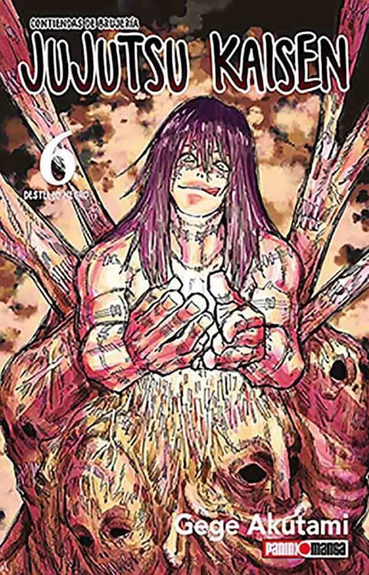 Manga Jujutsu Kaisen vol. 6
