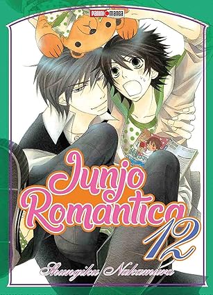Manga Junjo Romantica vol. 12