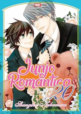 Manga Junjo Romantica vol. 20