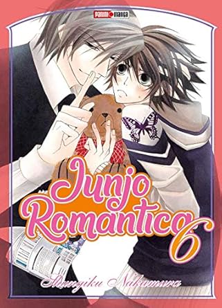 Manga Junjo Romantica vol. 6