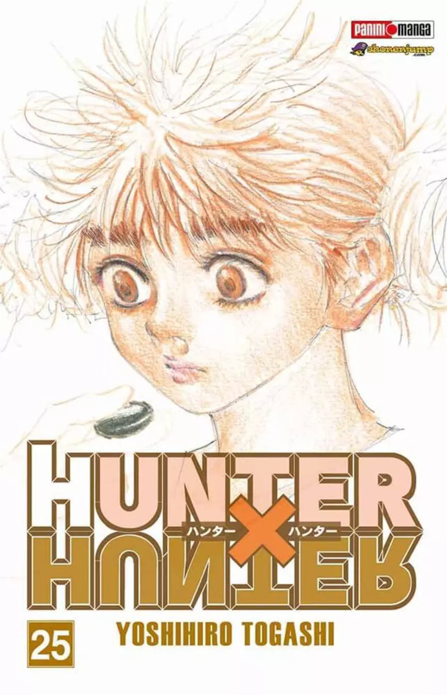 Manga Hunter x Hunter Vol 25