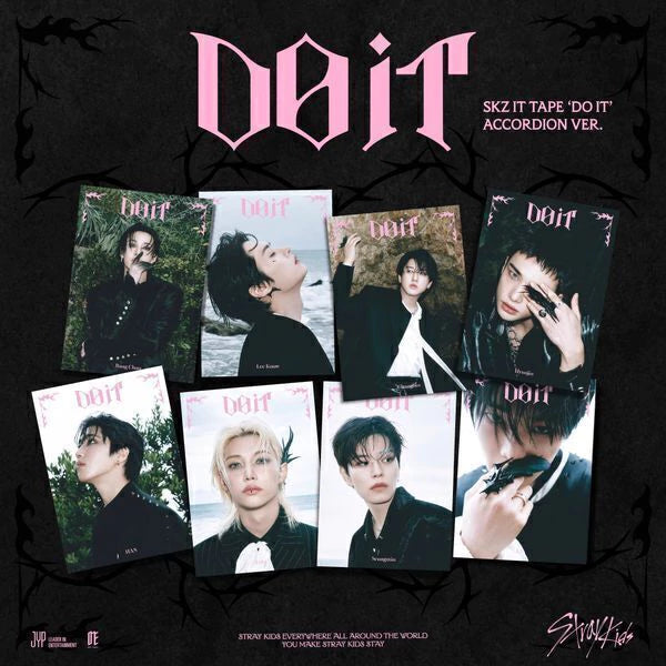 album stray ids do it accordion ver 1