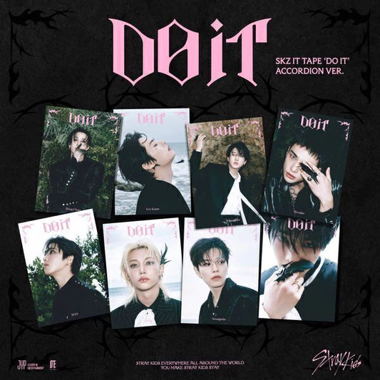 album stray ids do it accordion ver 1