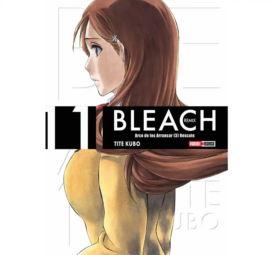 manga bleach remix vol 11