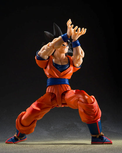 Sh figuarts son goku the kind hearted saiyan 3